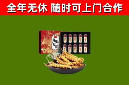 玉林烟酒回收冬虫夏草礼盒.jpg